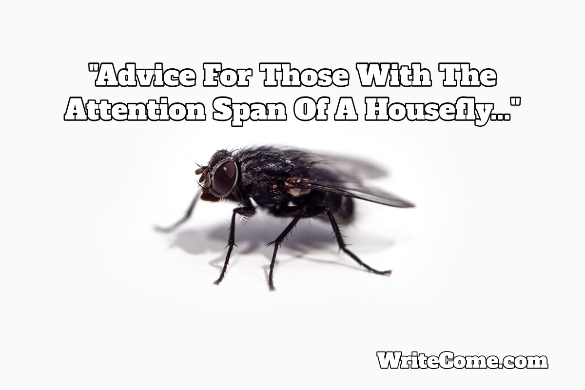 Advice For Those With The Attention Span Of A Housefly...