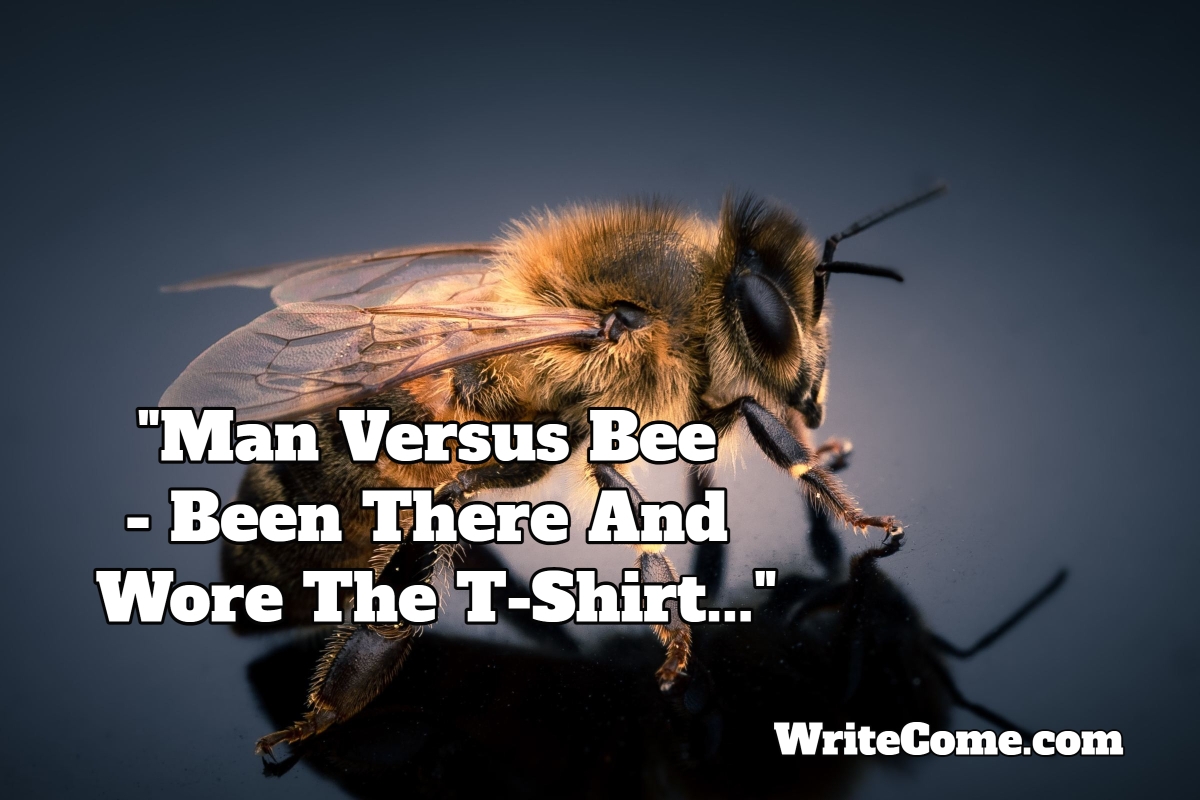 Man Versus Bee - Been There And Wore The T-Shirt..